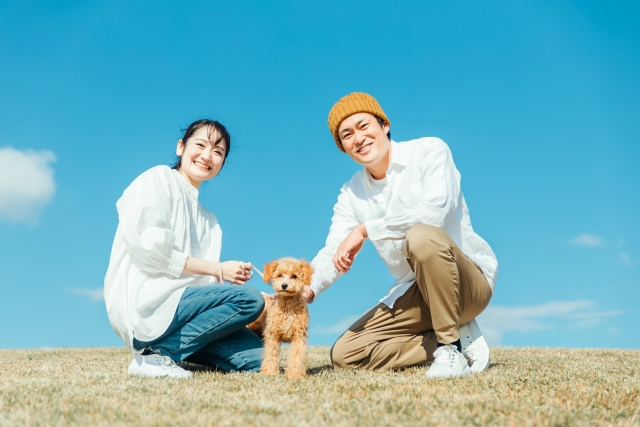 広尾の結婚相談所 belle avance ベルアヴァンセ「DINKs(子無し・共働き）は幸せなの？離婚率への影響は」- 4