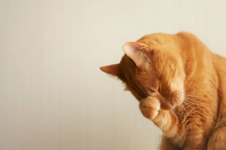 【婚活の罠】美人なのになぜかモテない？その理由と解決策を
