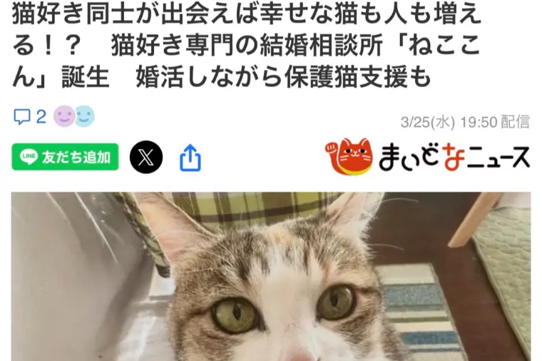 ヤフーニュースに掲載！【猫好きをつなげる結婚相にゃん所】