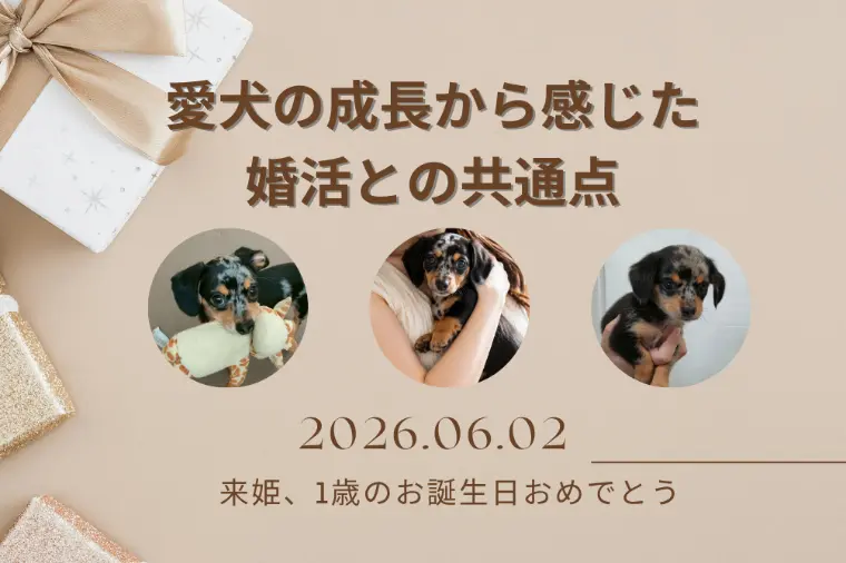 愛犬の成長から感じた婚活との共通点