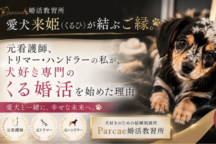 犬好き専門『くる婚活』を始めた理由