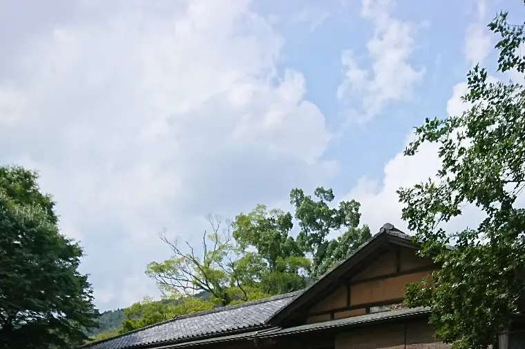 結婚したいのに何故行動できないのでしょうか