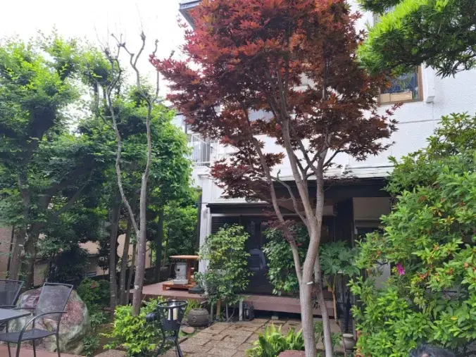 良縁コンシェルジュ町田「№1756　町田駅近のデートにおススメのお蕎麦屋さん」- 4