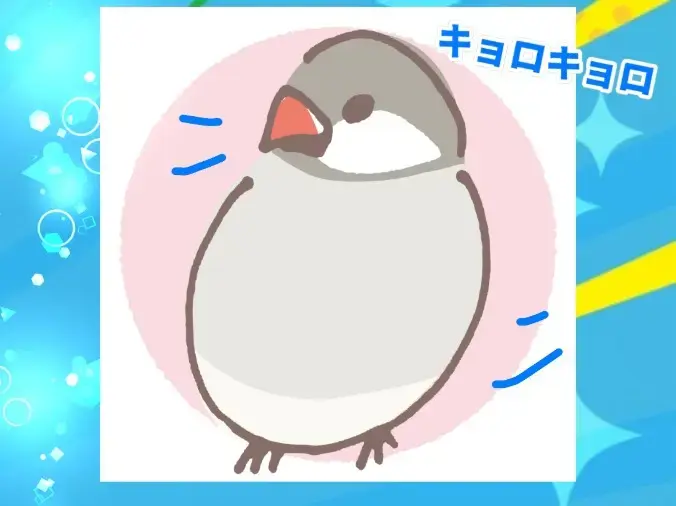 ハッピースマイル「【お見合い編】誤解されないための5つのポイント💡」- 3