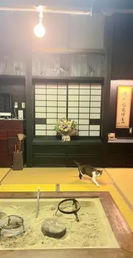 ONE THEORY(ワン セオリー)「一度別れた2人が『1年3ヶ月』の時を経て再会💓」- 2