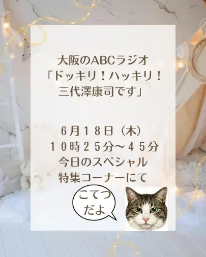 結婚相にゃん所ねここん「ラジオ出演します！！」- 2