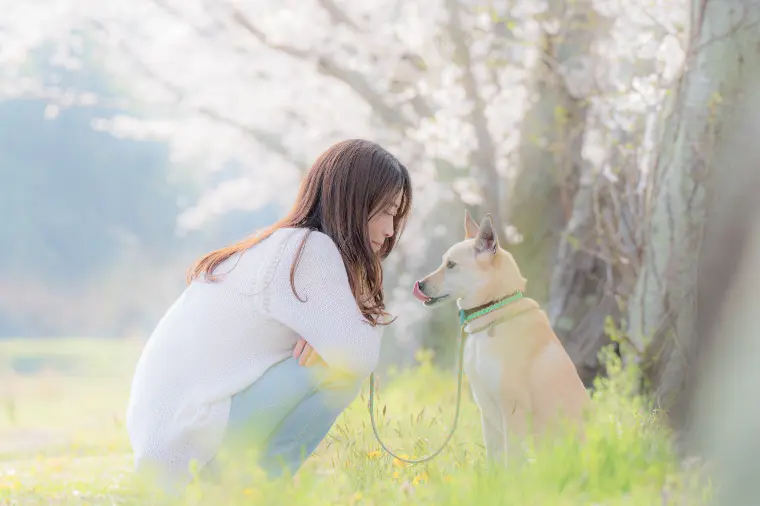 結婚相談所を迷っているあなたへ