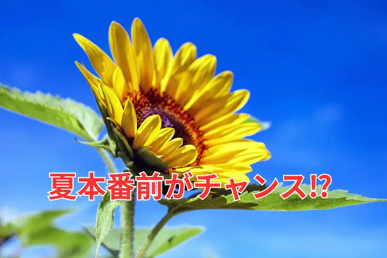 夏本番前に動く人が年内成婚する理由