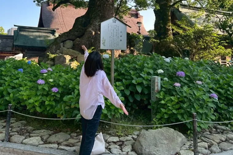 婚活中のドライブデートは何回目から？