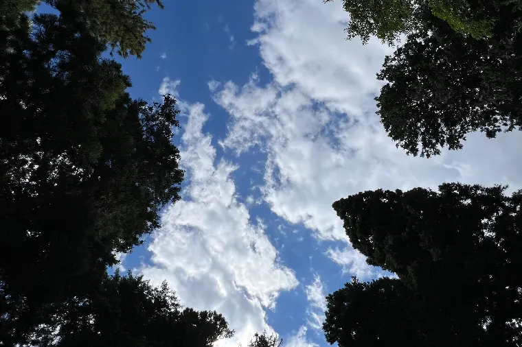 一人では少し心細い日も、二人なら心強い。