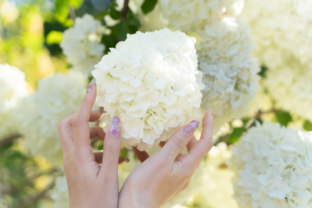広尾の結婚相談所 belle avance ベルアヴァンセ「婚活で性的魅力アピールは必要？恋愛との大きな違い」- 3