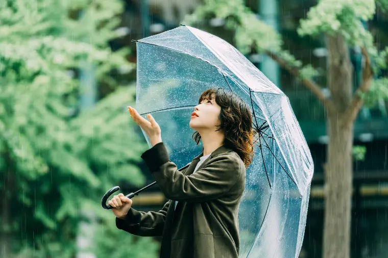 №1777　台風接近！安全最優先で！