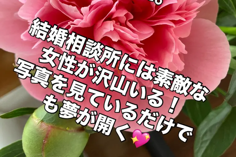 結婚相談所とマッチングアプリとの違い