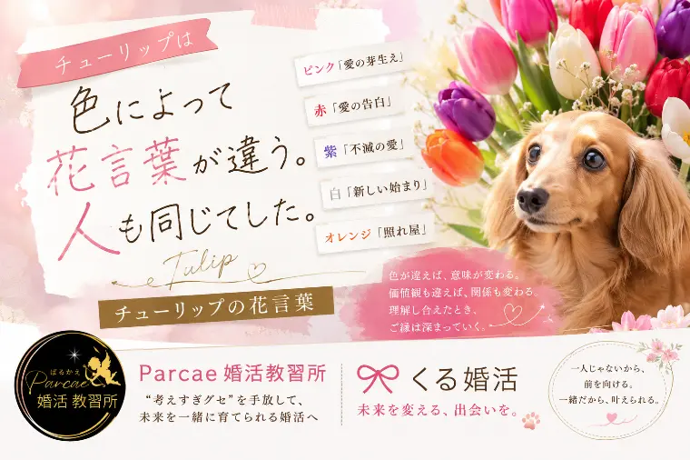 チューリップは色によって花言葉が違う。 