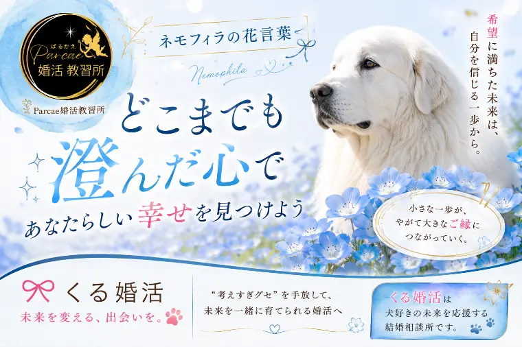 ネモフィラの花言葉は「どこでも成功」