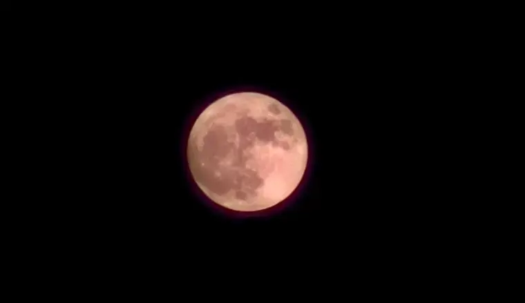 Pacific Bridal「「未来からの一歩」を力強く進める、特別な満月の夜が明けて」- 3