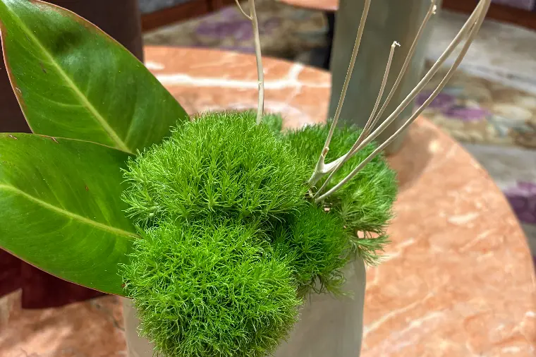 今年中にパートナーと出会う♡
