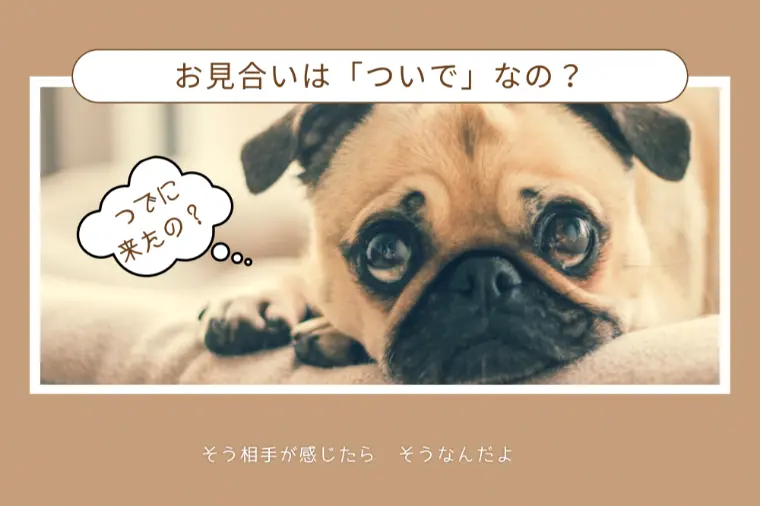 お見合いは感謝と敬意が伝わる人に