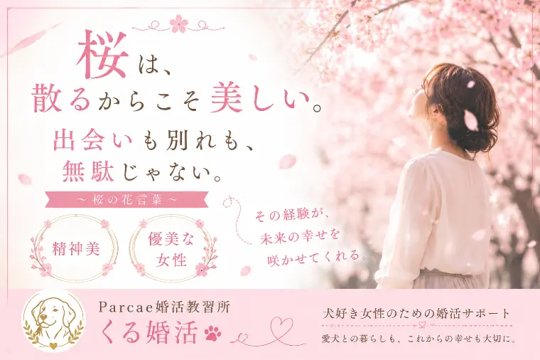 桜は、散るからこそ美しい。