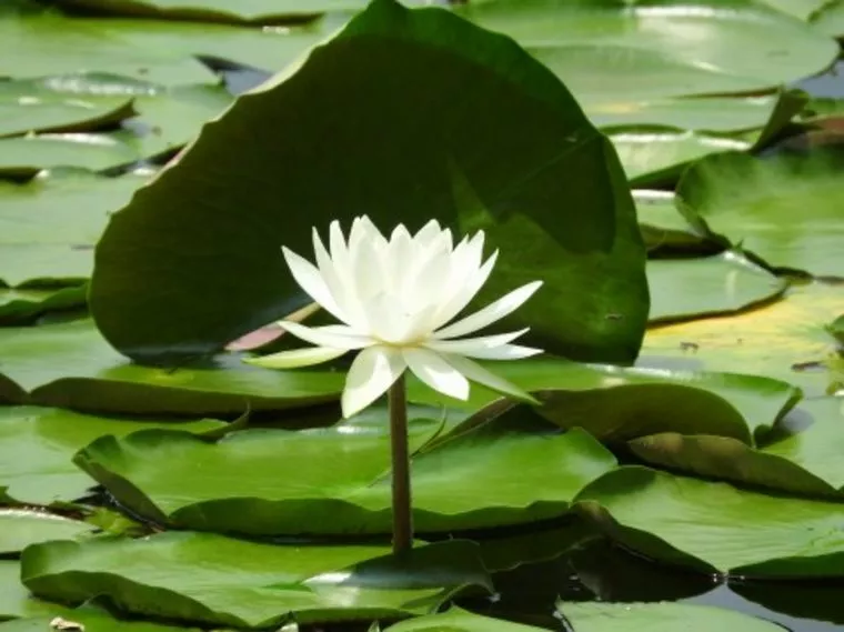 「イタコ」から男がご馳走する意味の話しまで