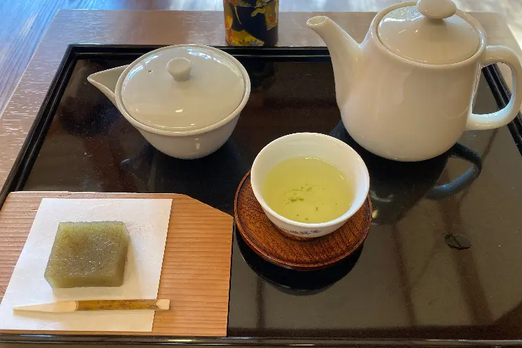 🌸一歩踏み出すきっかけとして