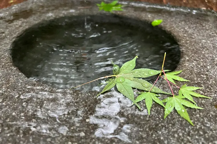 自分の知らなかった世界が広がることもあります✨