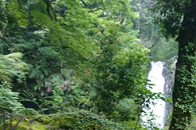 この世でたったひとり