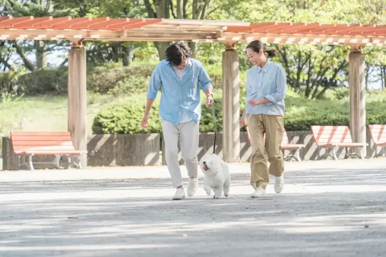 egao結婚相談所「婚活トレンドワード：「再婚力」～離婚歴を強みに変える」- 2
