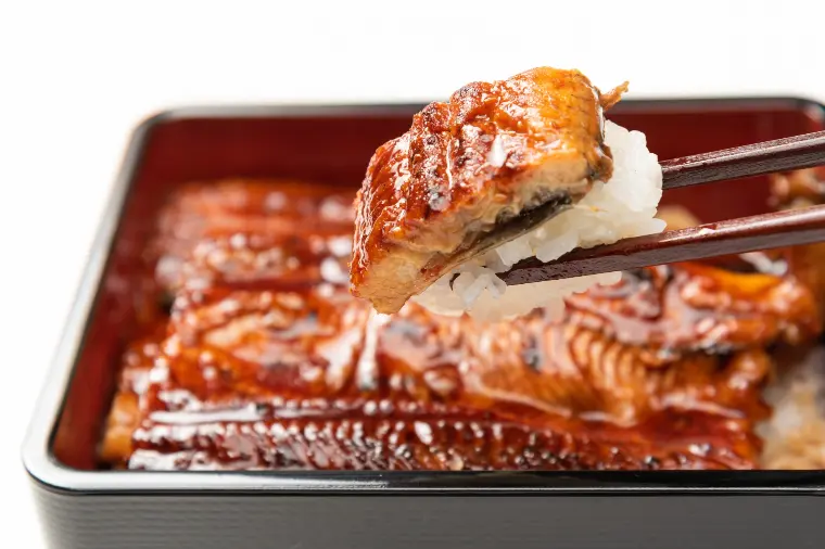 №1808　今日は「土用丑の日」