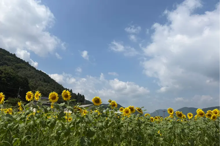 さわやかな人