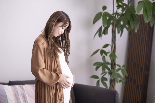 広尾の結婚相談所 belle avance ベルアヴァンセ「女性が子供を産まなくなったのは最大の原因は未婚化」- 5