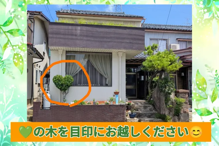 🌻暑い夏でも婚活を始める方が増えています🍉