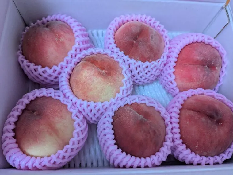 桃頂きました🍑