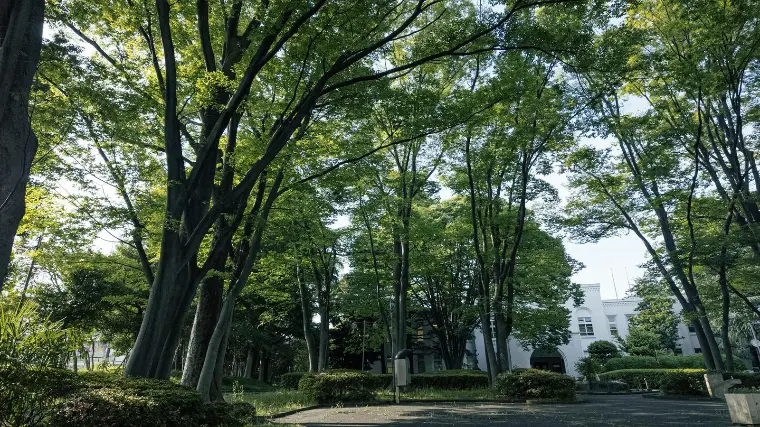 初デートは公園から？海外デート事情から考える「場所選び」