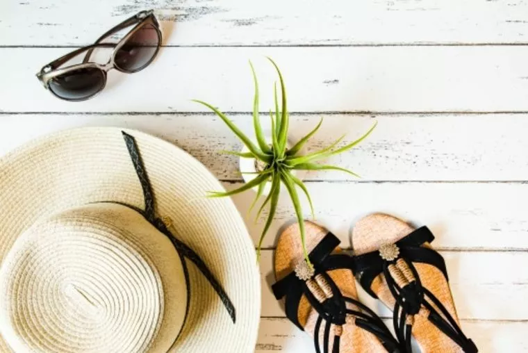 男の婚活！「夏のファッションは大事ですよ～」