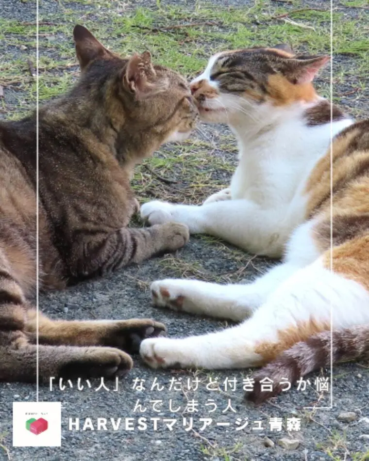 「いい人」なんだけど付き合うか悩んでしまう人