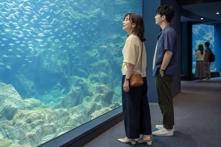 水族館デートで沈黙しない回り方 5選