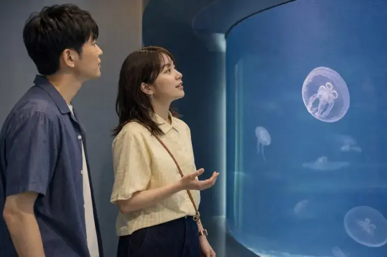 グリム結婚相談所「水族館デートで沈黙しない回り方 5選」- 2