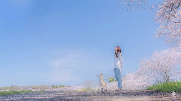 私がIBJに決めた理由