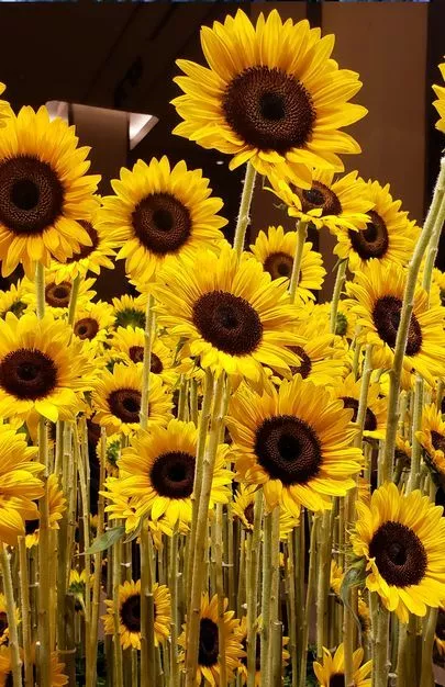 婚活レッツ「初お見合い前の直前面談を行いました！」-3