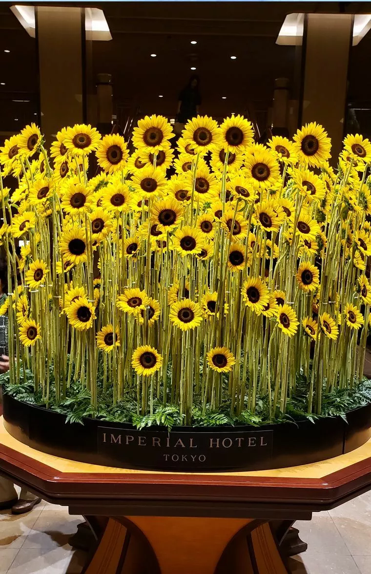 初お見合い前の直前面談を行いました！