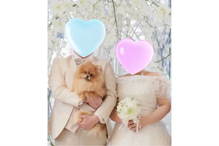 30代同士！お見合い後3ヶ月でご成婚♡半年後にはご入籍♡