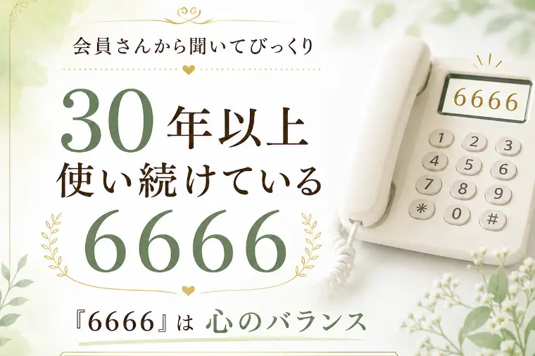 30年以上使い続けてる「6666」。