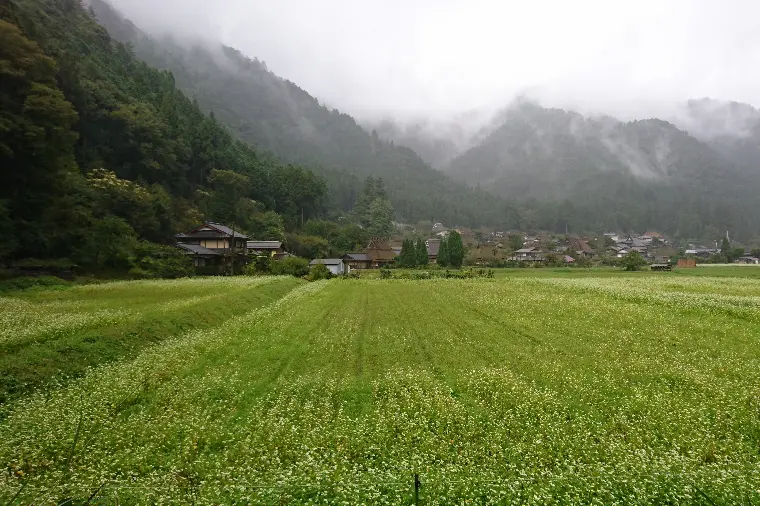 さわやかって、何？