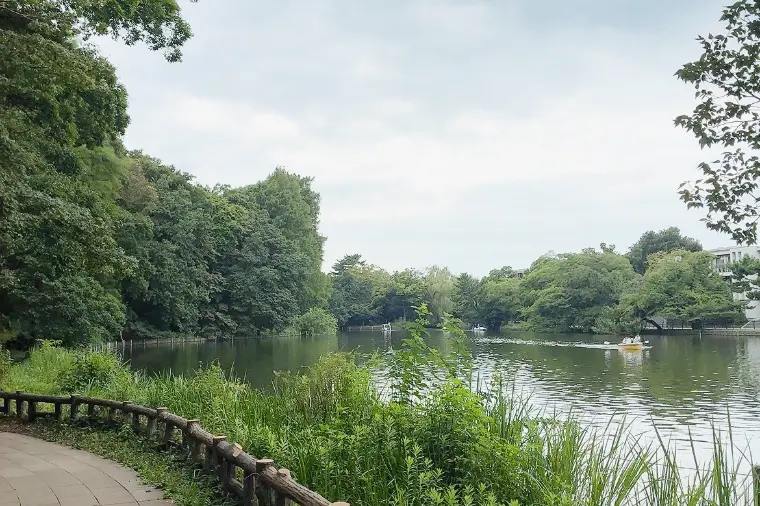 ずっと行きたかった石神井公園へ