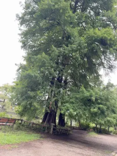 NOAM「ずっと行きたかった石神井公園へ」- 2