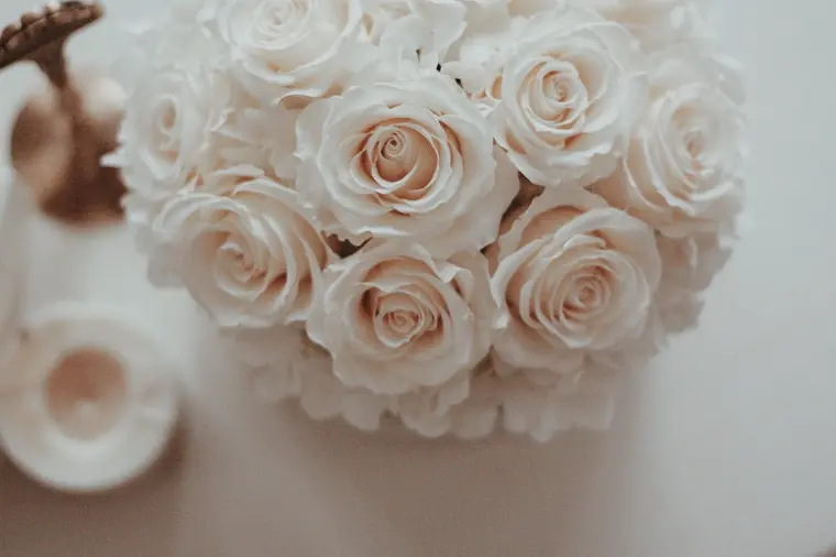 【５０％オフ】婚活したい人募集💞
