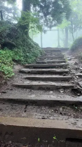 結婚相談所フォアファーザー「秦野・伊勢原のハイキングデートにおすすめ｜ヤビツ峠～大山」- 3