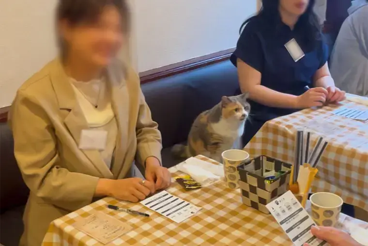 SWITCH　MARRY「“婚活らしくない”から心がほどける、猫と楽しむひととき。」- 4