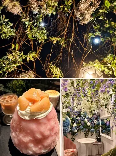 僕と私の結婚相談所「プロポーズの下見まで同行！？私がそこまでする理由」- 2